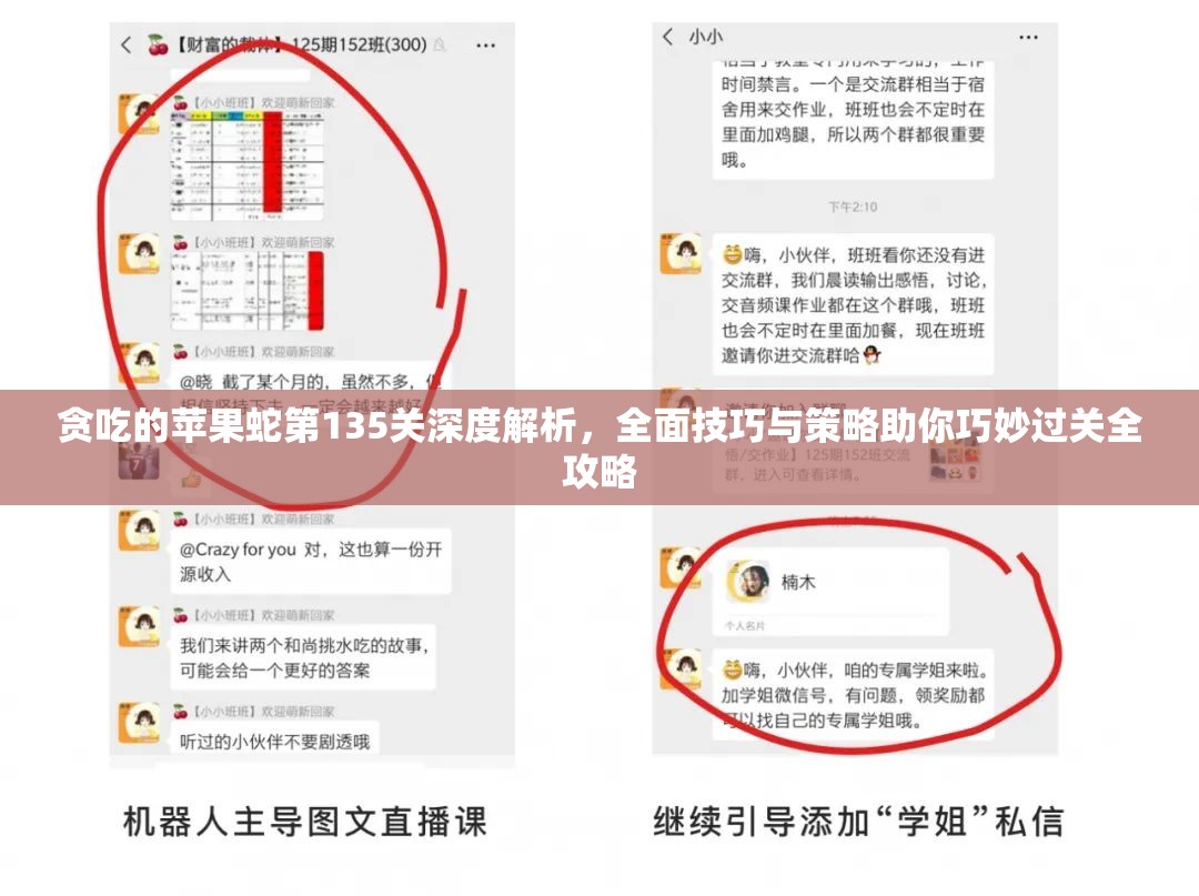 贪吃的苹果蛇第135关深度解析，全面技巧与策略助你巧妙过关全攻略