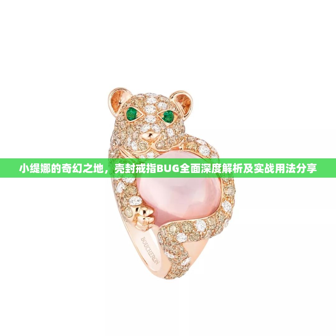小缇娜的奇幻之地，壳封戒指BUG全面深度解析及实战用法分享