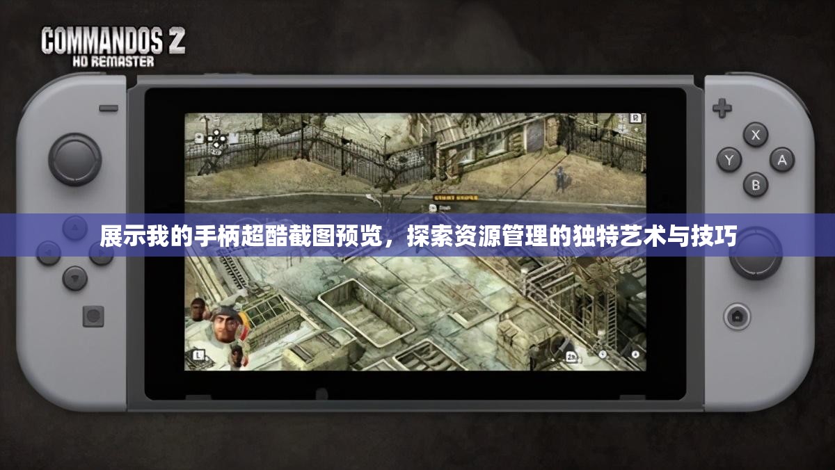 展示我的手柄超酷截图预览，探索资源管理的独特艺术与技巧