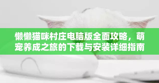 懒懒猫咪村庄电脑版全面攻略，萌宠养成之旅的下载与安装详细指南