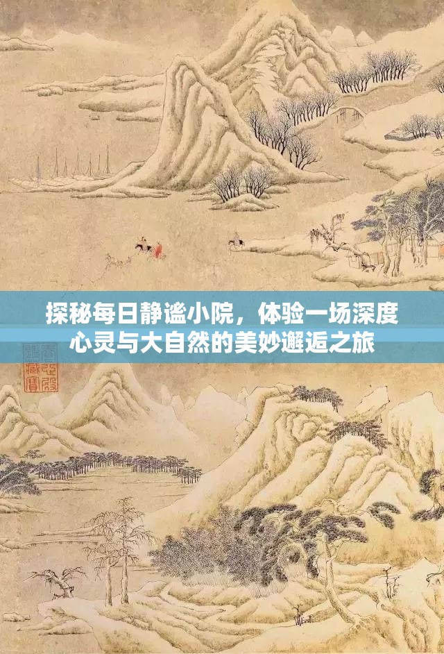 探秘每日静谧小院，体验一场深度心灵与大自然的美妙邂逅之旅