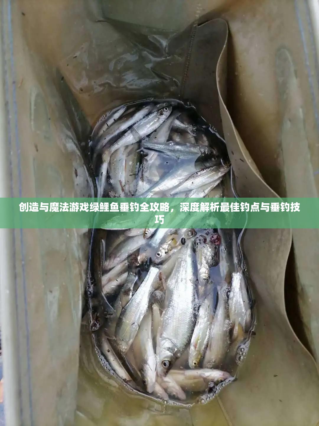 创造与魔法游戏绿鲤鱼垂钓全攻略，深度解析最佳钓点与垂钓技巧