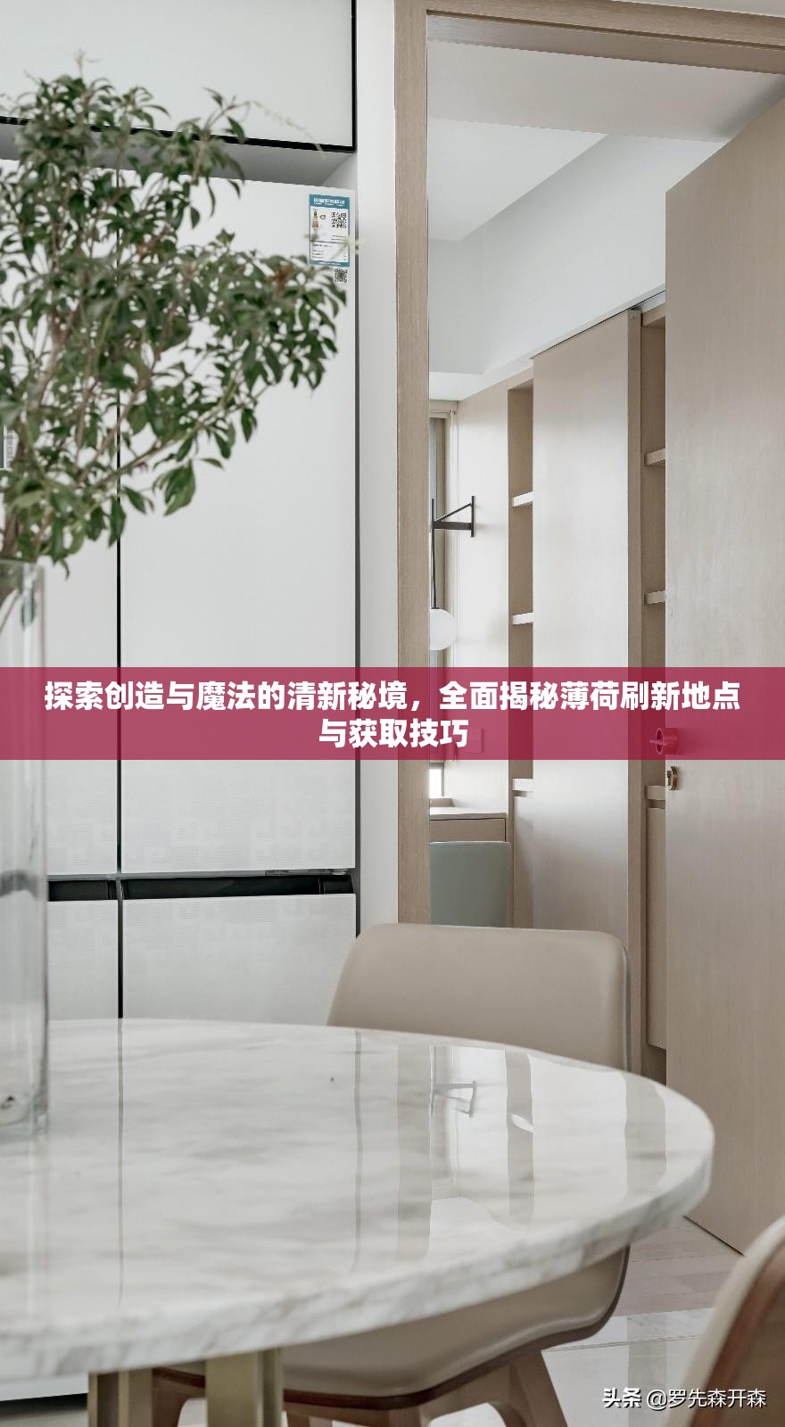 探索创造与魔法的清新秘境，全面揭秘薄荷刷新地点与获取技巧