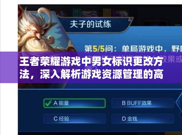 王者荣耀游戏中男女标识更改方法，深入解析游戏资源管理的高效应用策略