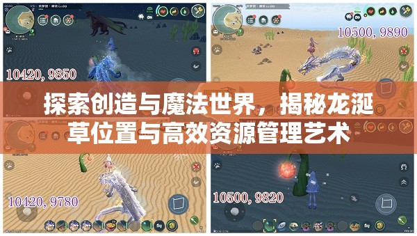 探索创造与魔法世界，揭秘龙涎草位置与高效资源管理艺术