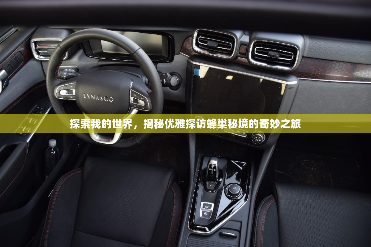 探索我的世界，揭秘优雅探访蜂巢秘境的奇妙之旅