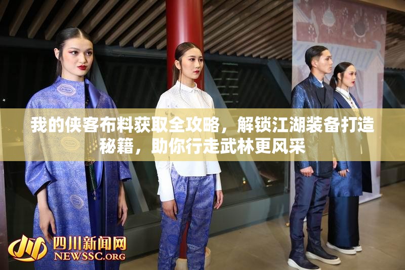 我的侠客布料获取全攻略，解锁江湖装备打造秘籍，助你行走武林更风采