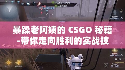 暴躁老阿姨的 CSGO 秘籍-带你走向胜利的实战技巧指南