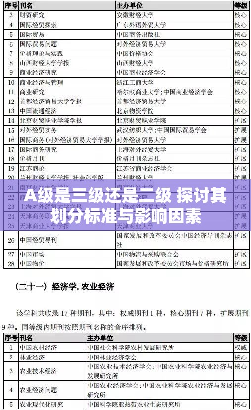 A级是三级还是二级 探讨其划分标准与影响因素