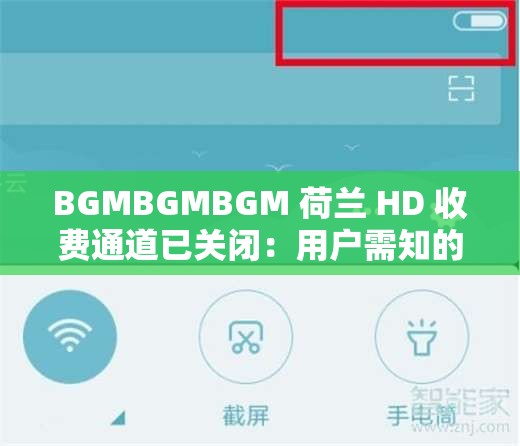 BGMBGMBGM 荷兰 HD 收费通道已关闭：用户需知的重要信息