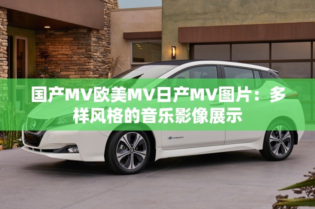 国产MV欧美MV日产MV图片：多样风格的音乐影像展示