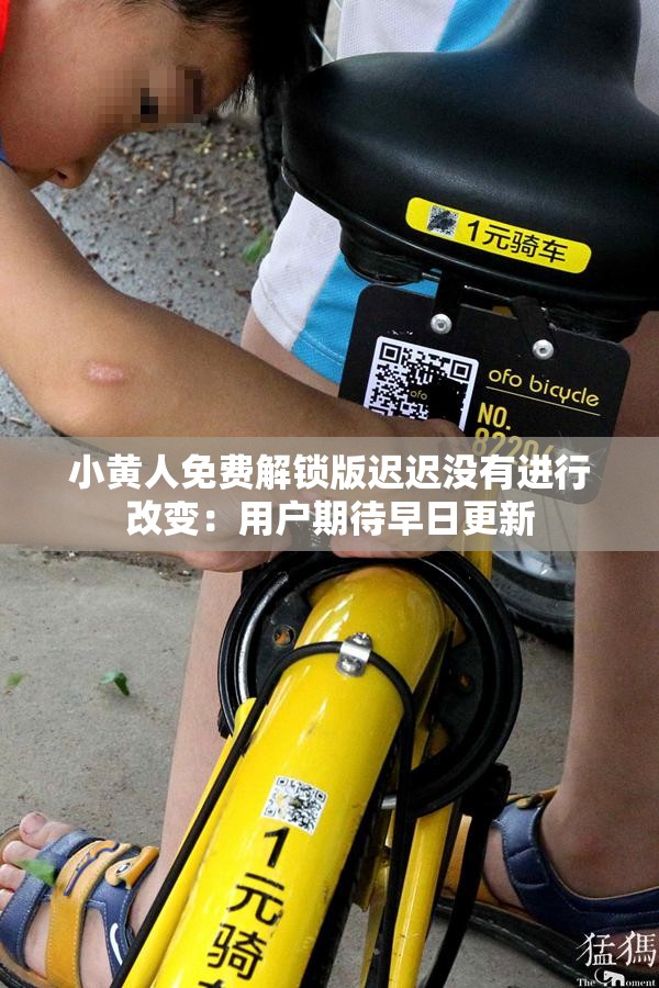 小黄人免费解锁版迟迟没有进行改变：用户期待早日更新
