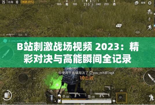B站刺激战场视频 2023：精彩对决与高能瞬间全记录