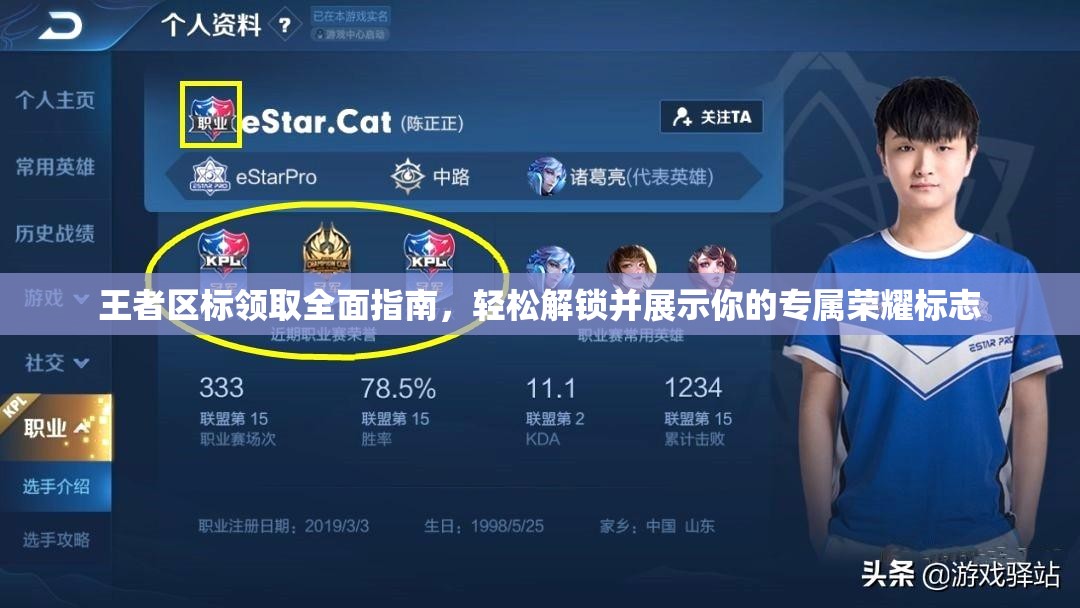 王者区标领取全面指南，轻松解锁并展示你的专属荣耀标志