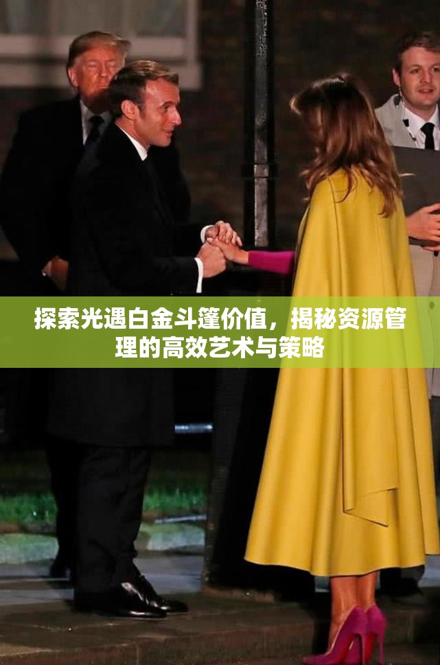 探索光遇白金斗篷价值，揭秘资源管理的高效艺术与策略