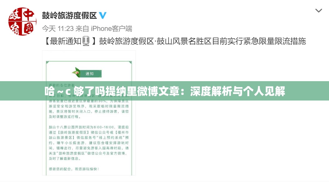 哈～c 够了吗提纳里微博文章：深度解析与个人见解