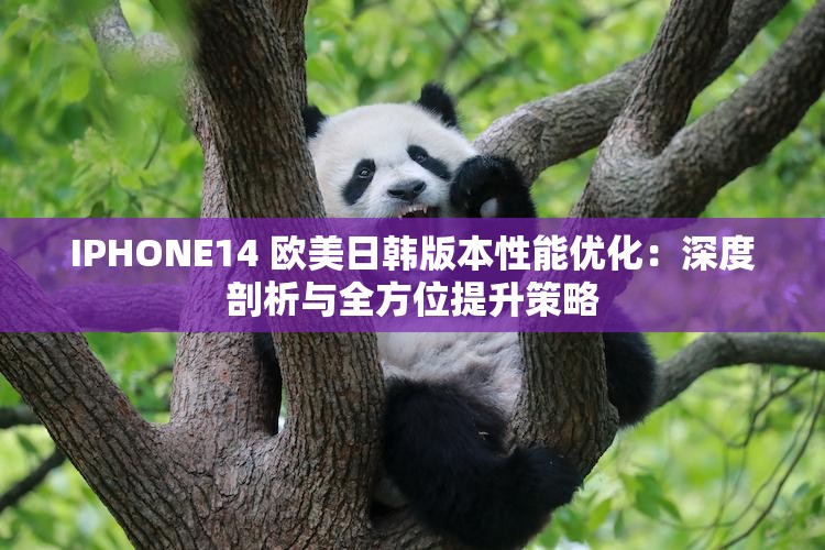 IPHONE14 欧美日韩版本性能优化：深度剖析与全方位提升策略