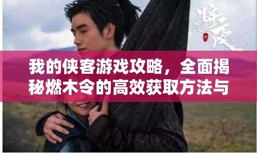 我的侠客游戏攻略，全面揭秘燃木令的高效获取方法与秘籍