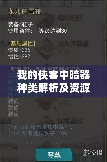 我的侠客中暗器种类解析及资源管理、高效利用策略以最大化其价值