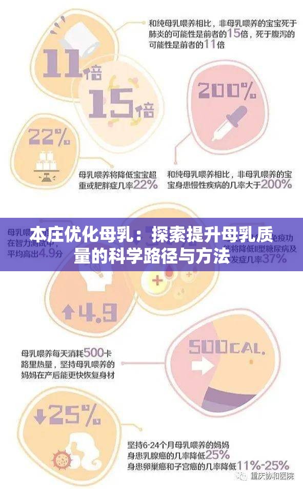 本庄优化母乳：探索提升母乳质量的科学路径与方法