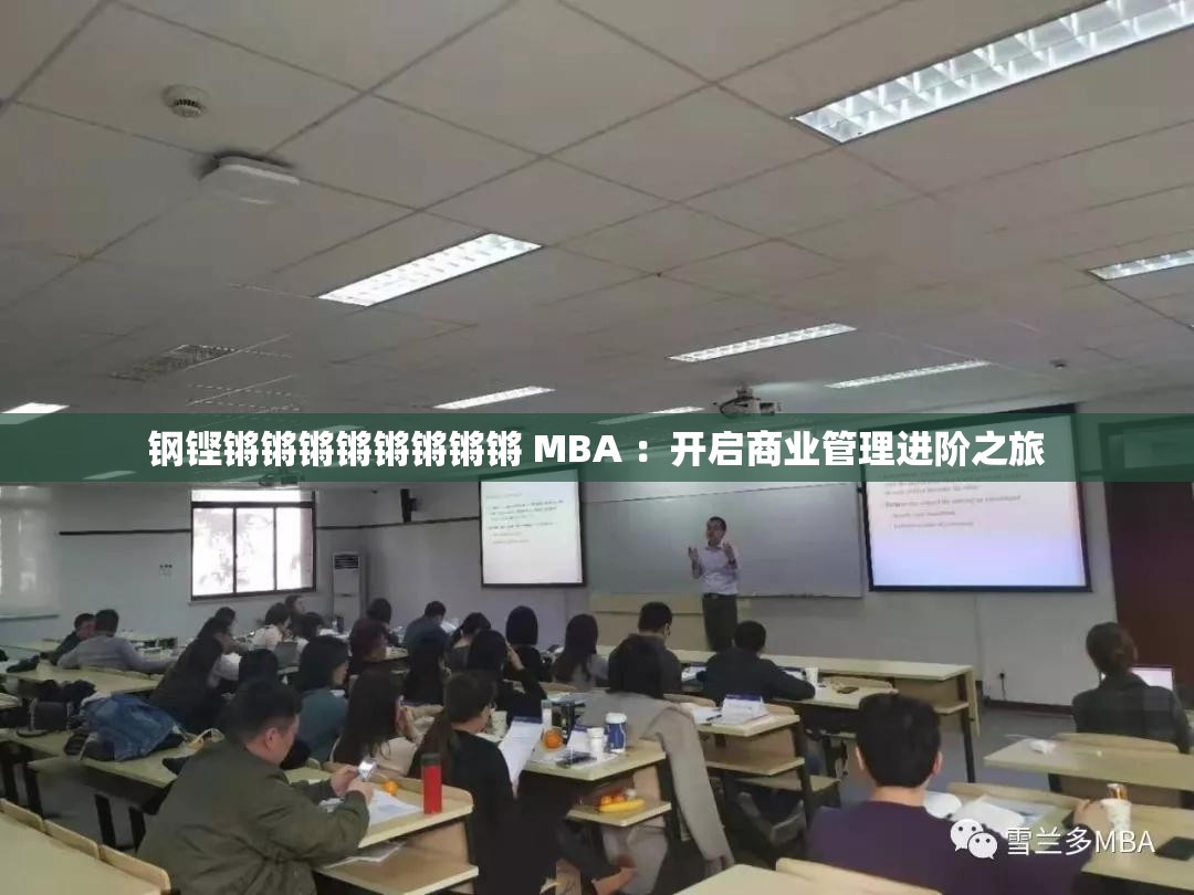 钢铿锵锵锵锵锵锵锵锵 MBA ：开启商业管理进阶之旅