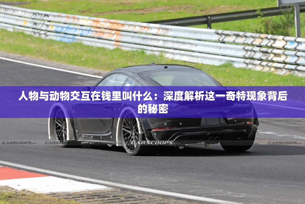 人物与动物交互在钱里叫什么：深度解析这一奇特现象背后的秘密