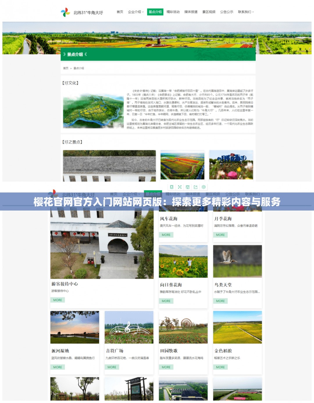 樱花官网官方入门网站网页版：探索更多精彩内容与服务