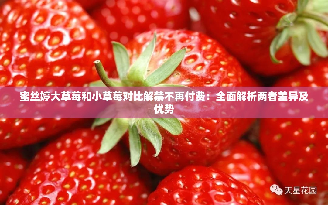 蜜丝婷大草莓和小草莓对比解禁不再付费：全面解析两者差异及优势