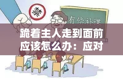 跪着主人走到面前应该怎么办：应对之策与行为准则探讨