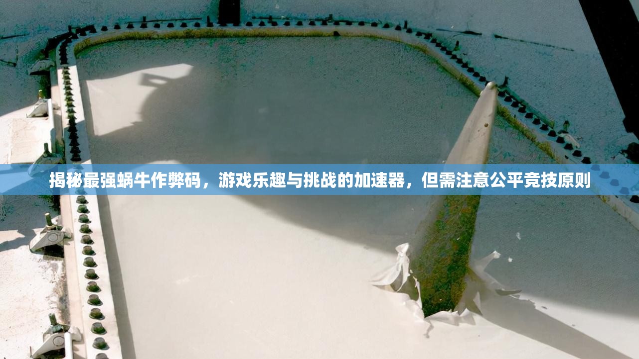 揭秘最强蜗牛作弊码，游戏乐趣与挑战的加速器，但需注意公平竞技原则