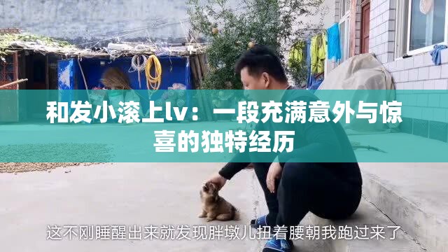 和发小滚上lv：一段充满意外与惊喜的独特经历