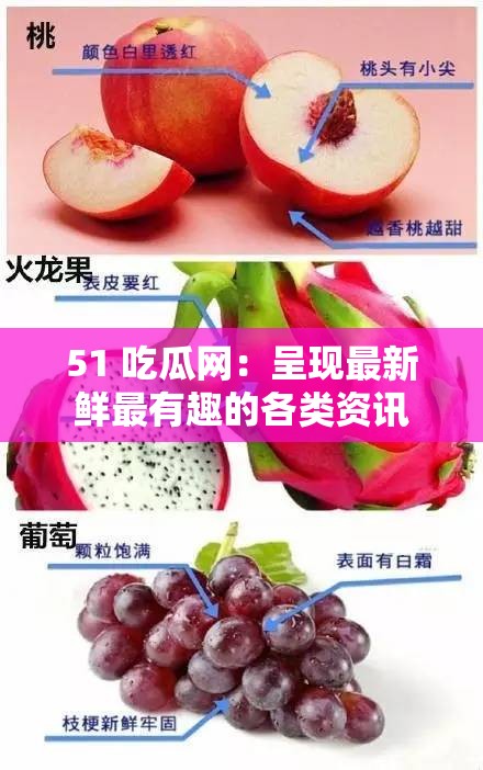 51 吃瓜网：呈现最新鲜最有趣的各类资讯