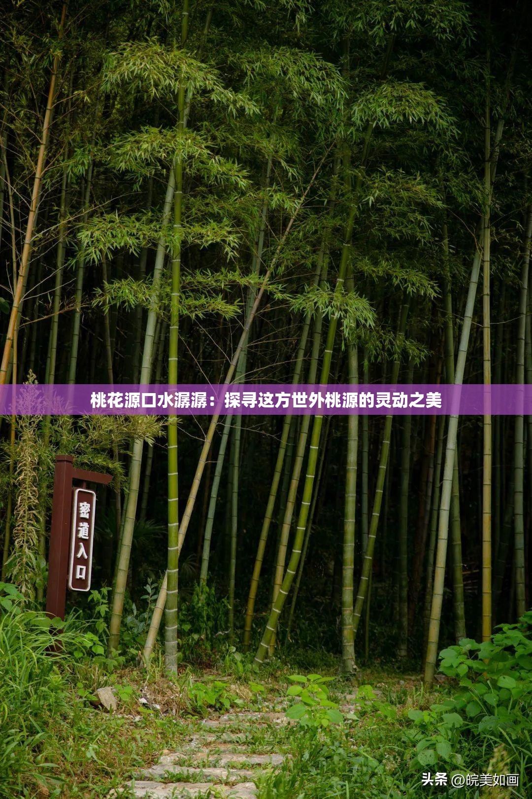 桃花源口水潺潺：探寻这方世外桃源的灵动之美