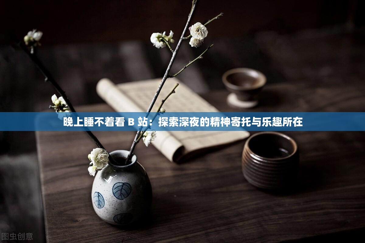 晚上睡不着看 B 站：探索深夜的精神寄托与乐趣所在