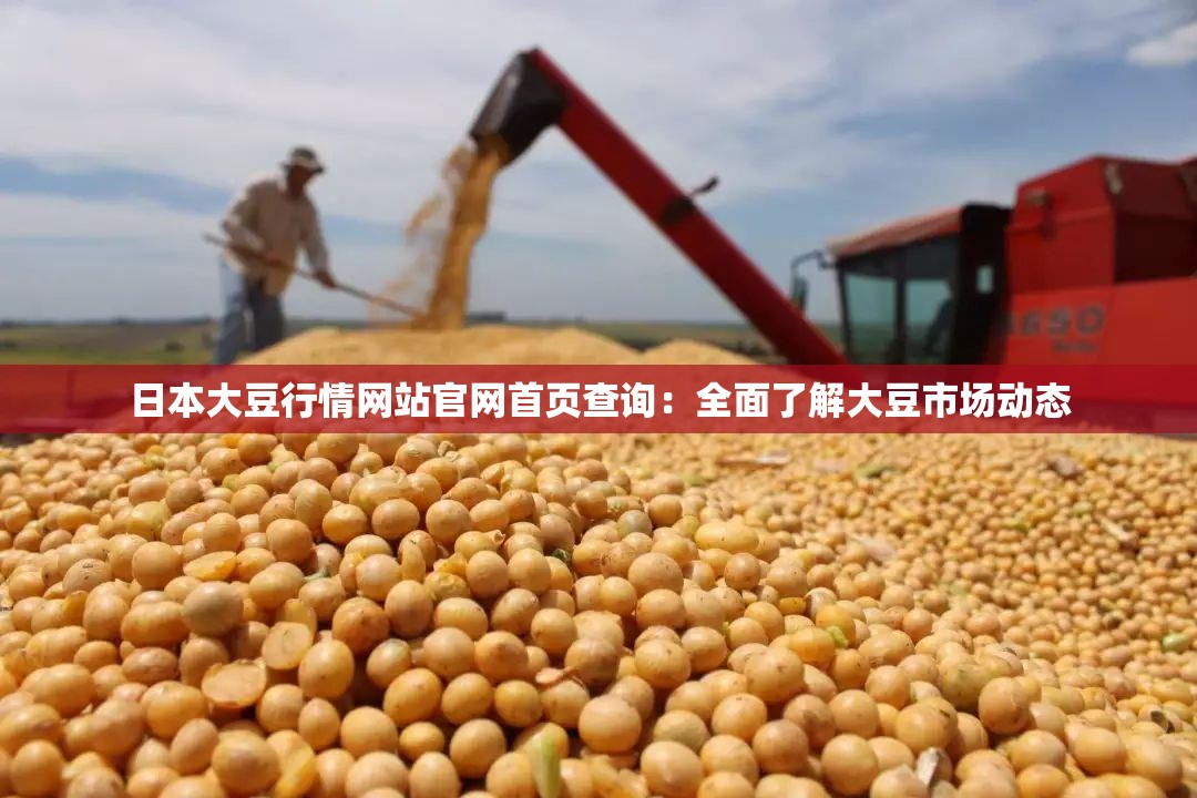 日本大豆行情网站官网首页查询：全面了解大豆市场动态