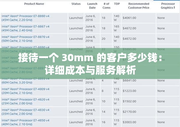 接待一个 30mm 的客户多少钱：详细成本与服务解析