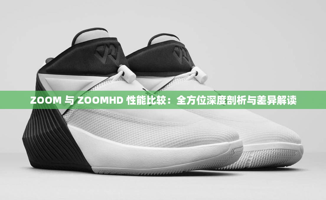 ZOOM 与 ZOOMHD 性能比较：全方位深度剖析与差异解读