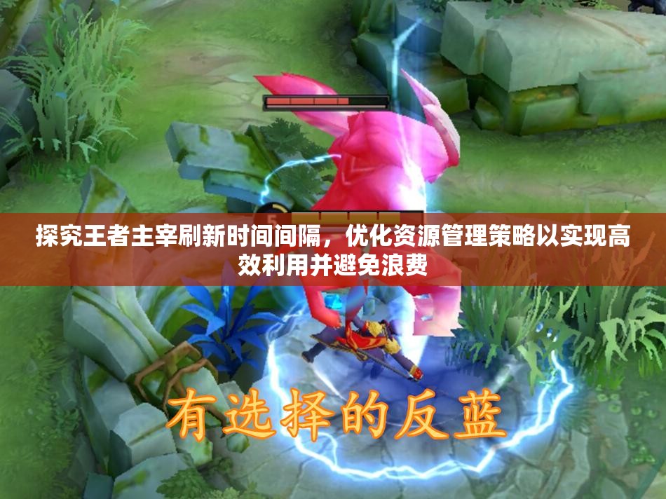 探究王者主宰刷新时间间隔，优化资源管理策略以实现高效利用并避免浪费