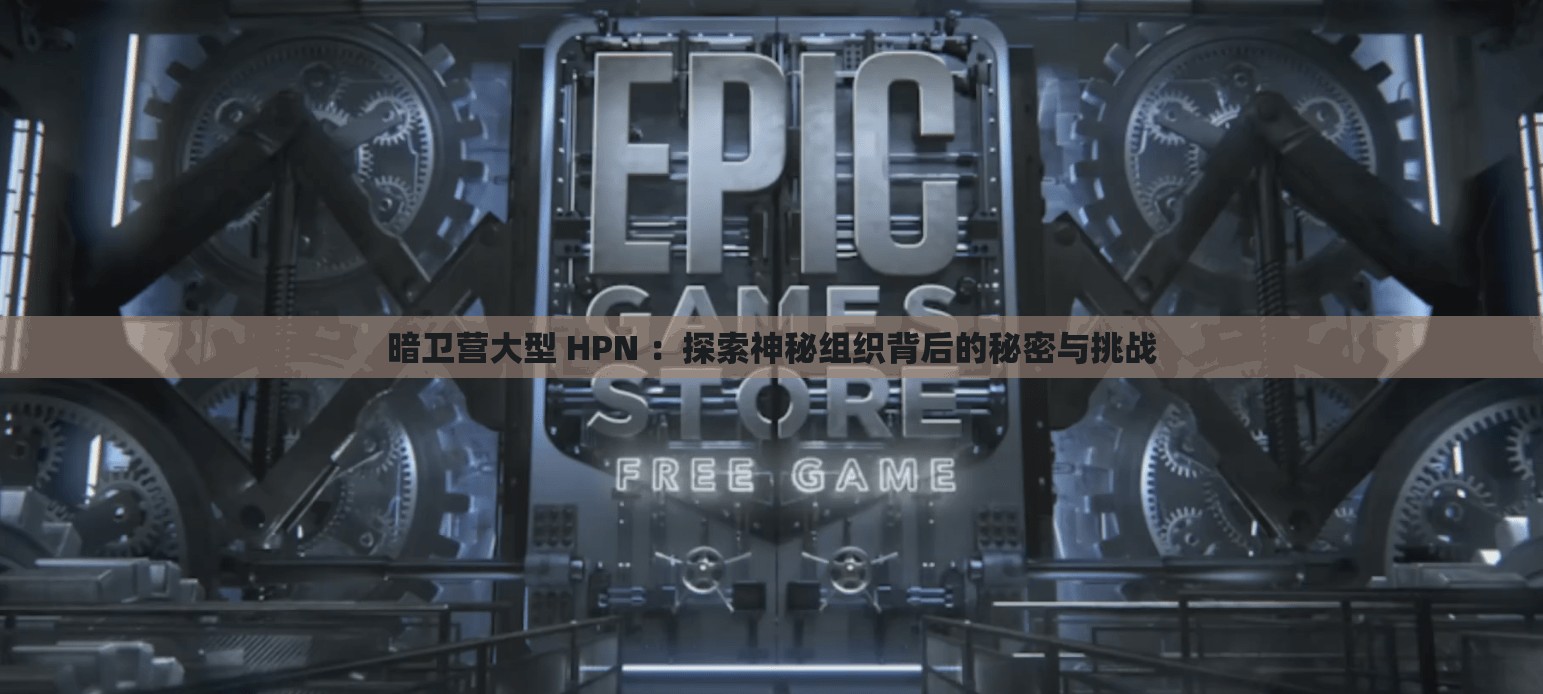 暗卫营大型 HPN ：探索神秘组织背后的秘密与挑战