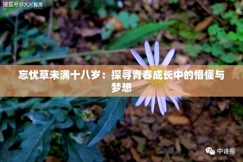 忘忧草未满十八岁：探寻青春成长中的懵懂与梦想