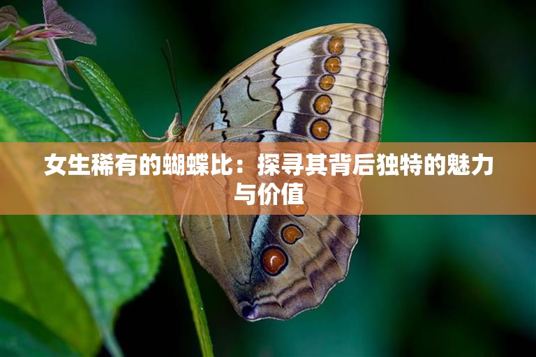 女生稀有的蝴蝶比：探寻其背后独特的魅力与价值