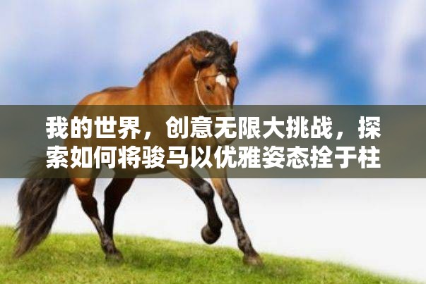 我的世界，创意无限大挑战，探索如何将骏马以优雅姿态拴于柱子上的技巧