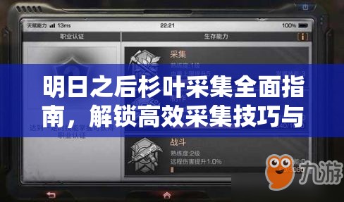 明日之后杉叶采集全面指南，解锁高效采集技巧与全新姿势