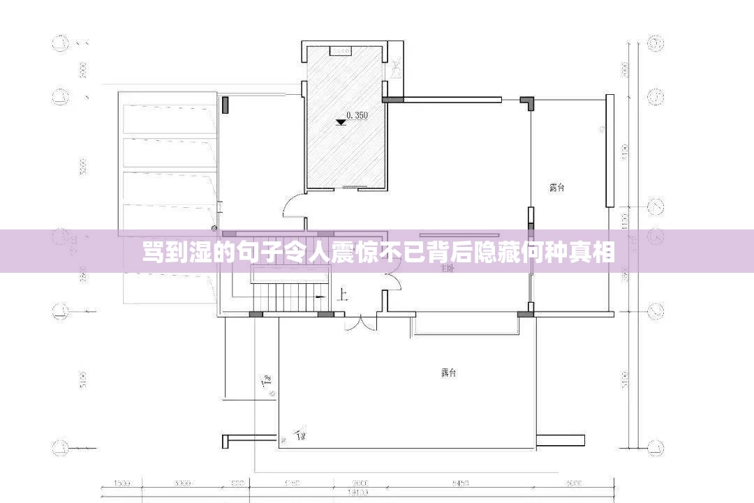 骂到湿的句子令人震惊不已背后隐藏何种真相