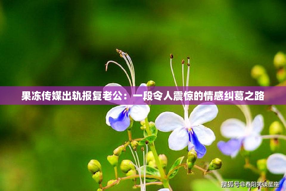 果冻传媒出轨报复老公：一段令人震惊的情感纠葛之路