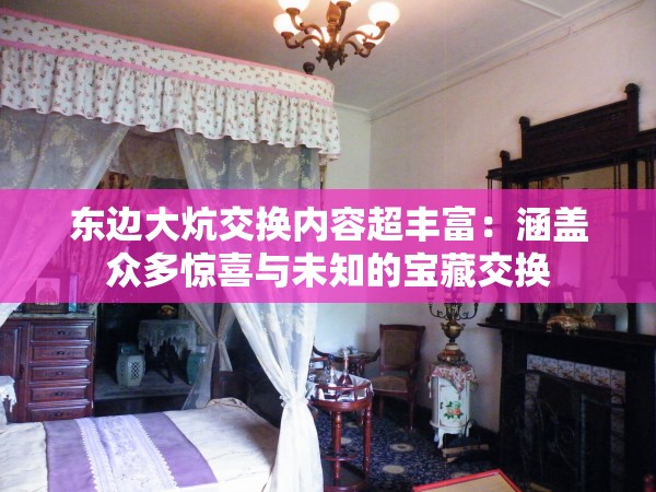 东边大炕交换内容超丰富：涵盖众多惊喜与未知的宝藏交换