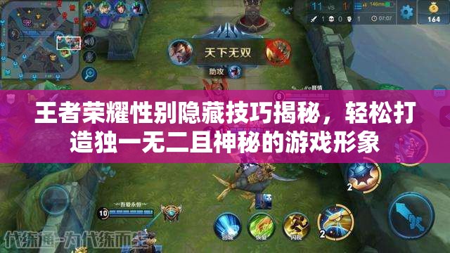 王者荣耀性别隐藏技巧揭秘，轻松打造独一无二且神秘的游戏形象