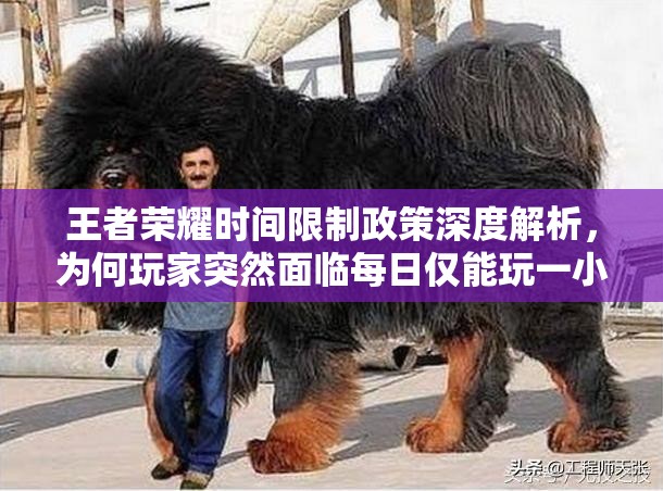 王者荣耀时间限制政策深度解析，为何玩家突然面临每日仅能玩一小时的约束？