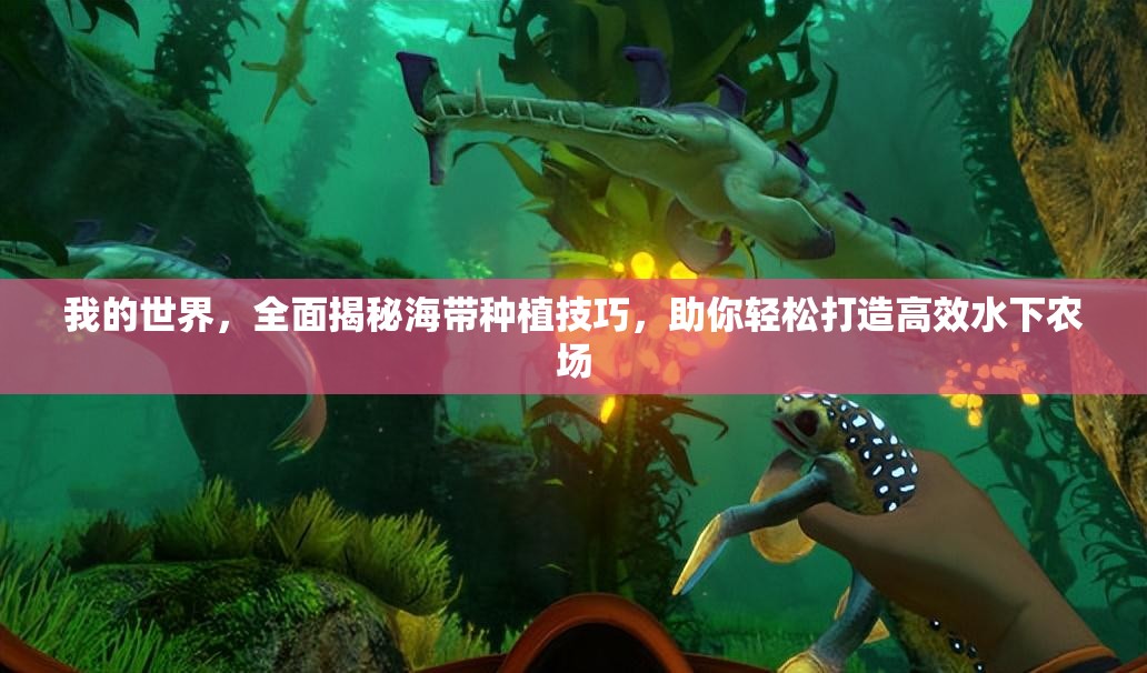我的世界，全面揭秘海带种植技巧，助你轻松打造高效水下农场