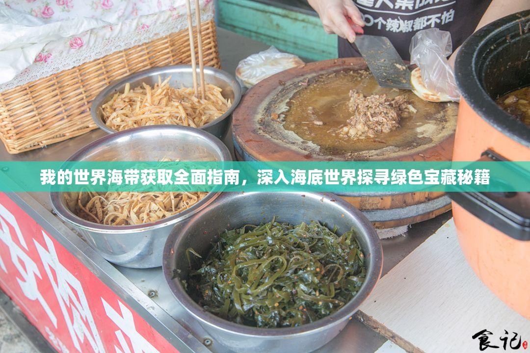 我的世界海带获取全面指南，深入海底世界探寻绿色宝藏秘籍